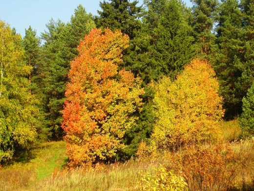 38168 (a): :1600x1200